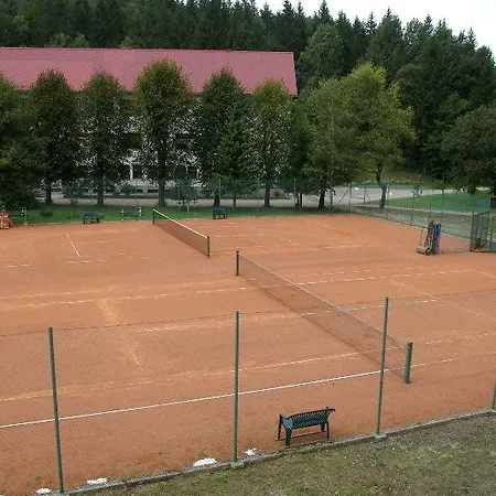 Risnjak 4* דלניצה